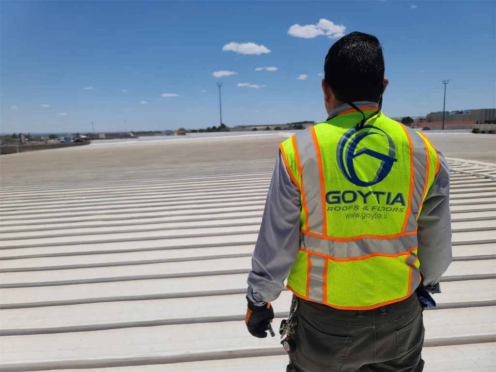 goytia7